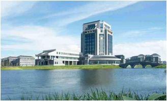 8名学生集体放弃清华北大,鼠尾与龙头你将如何选择