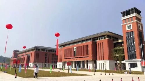 10月11日丨广东新鲜事 打脸 发际线男孩 小吴进军娱乐圈 我是被逼的