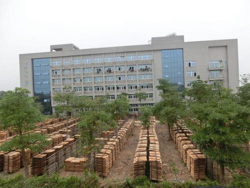 漳州市一个科技工厂被拍卖了,一个老板2500万元买下