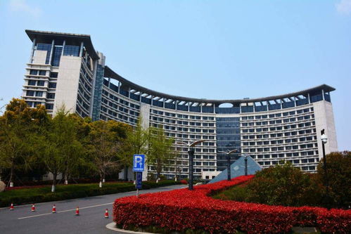 除了浙江大学外,浙江还有哪些学校,能冲击双一流大学