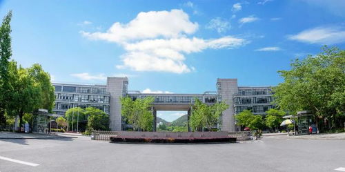 事业编制,地处 新一线 这所国际化特色大学开启招募