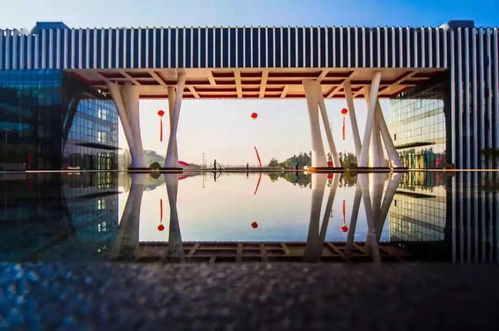 2022年浙江科技学院艺术类招生章程