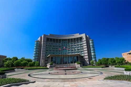 说不清下沙究竟哪里好,但就是谁也替代不了