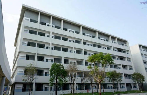 9月1日如期开学 多图直击南海双语实验学校建设情况