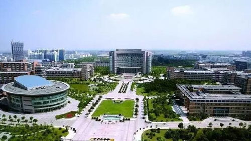 最新丨钱多 热门,这些专业在杭州最吃香 你的排第几