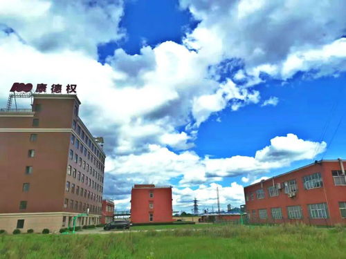 高手思维，专注小产品 浙江科技学院如何成就全球三大名企