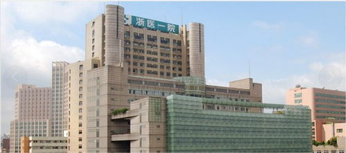 浙江互联网挂号六年增长527倍 科技赋能医疗，便捷服务惠及千万民众