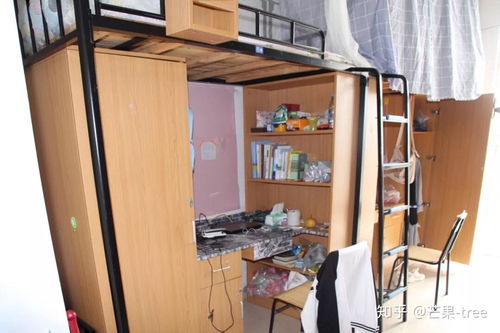 浙江科技学院怎么样